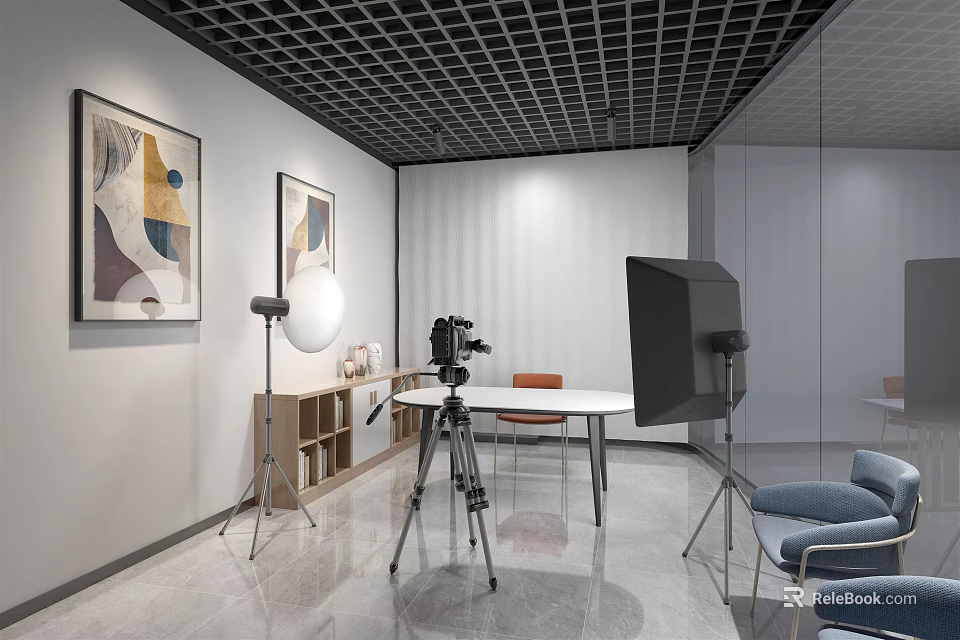 Public Office Space With Open Layout Photography Equipment Blue Chairs Wall Paintings And Glass Partitions 3d model 
