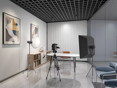 Public Office Space With Open Layout Photography Equipment Blue Chairs Wall Paintings And Glass Partitions 3d model