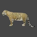 Realistic Jaguar Game Character With Detailed Spotted Fur And Side Profile