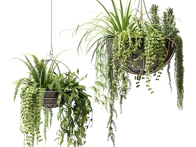 Lush Trailing Hanging Basket Plants with Green Foliage and Cascading Leaves 3d model