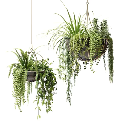 Lush Trailing Hanging Basket Plants with Green Foliage and Cascading Leaves 3d model