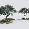Modern Landscape Tree Pits Design With Trees Wooden Edges Grass And Stones