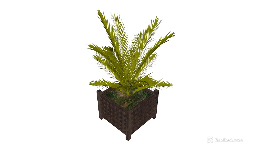 Bonsai Potted Plant With Square Woven Pot And Lush Green Palm Leaves 3d model 