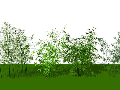 Tall Bamboo Plants Growing In Lush Green Grass With Various Species 3d model