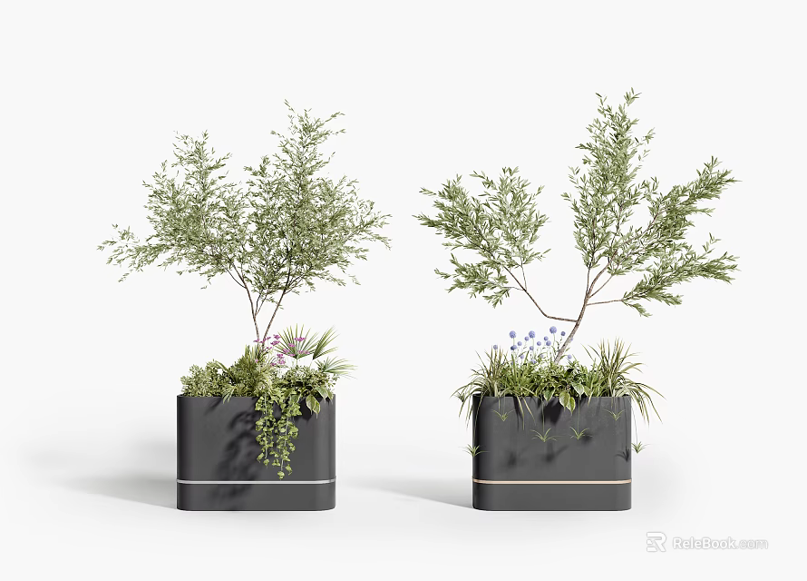 Green Leafy Bonsai Potted Plants with Small Purple Blue Flowers in Black Square Planters 3d model 