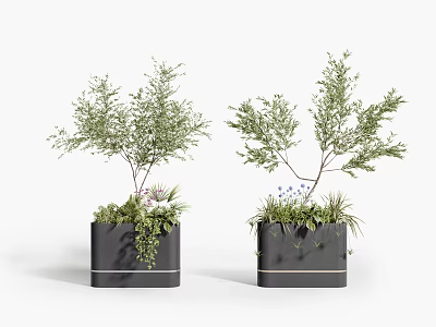 Green Leafy Bonsai Potted Plants with Small Purple Blue Flowers in Black Square Planters 3d model
