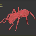 Metallic Ant Model with Detailed Legs Body Structure and Textured Surface on Dark Background
