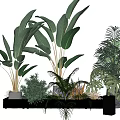 Stylish Indoor Potted Plants Collection With Diverse Green Leaves On Black Shelf