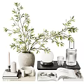 Decorative Ornament Set With Olive Branch Vase Candle Glass Cup And Book
