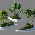 Modern White Tree Planters Landscaping With Various Green Plants And Palm Trees