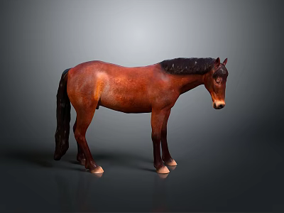 Detailed Brown Horse Model in Standing Pose on Gray Background 3d model