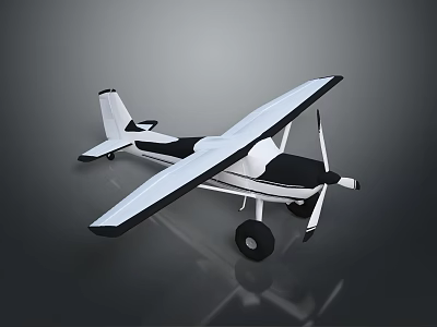Black And White Model Airplane With Wings Wheels And Propeller On Display Stand 3d model