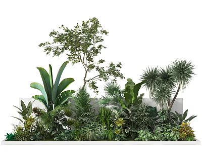 Diverse Tropical Greenery With Various Plants And Lush Foliage 3d model