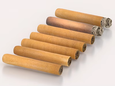 Golden Brown Cigar Shaped Pastries Arranged In A Row On White Surface 3d model