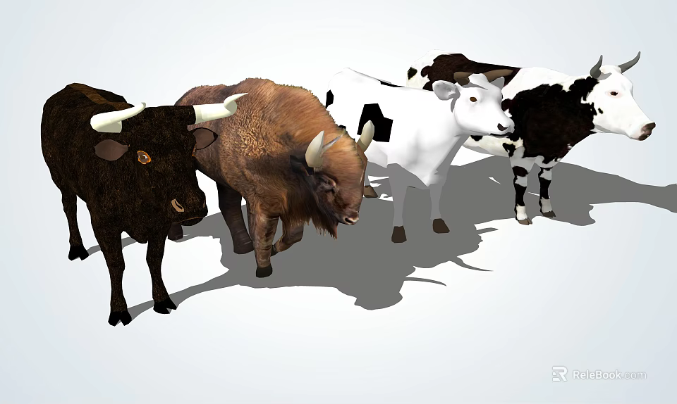 Various Reptiles Including Lizards Snakes And Turtles In Natural Habitat Setup 3d model 