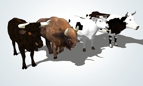 modern cow yak cow 3d model