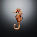 Vibrant Brown Orange Seahorse With Spiral Tail Striped Body Spiky Dorsal Fin Against Dark Background
