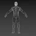 Muscular Man in Red and White Tight Costume Standing Pose Against Gray Background