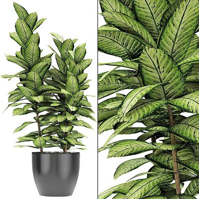 Potted Bonsai Plant with Lush Green Leaves Vibrant Patterns in Black Pot Detailed View 3d model