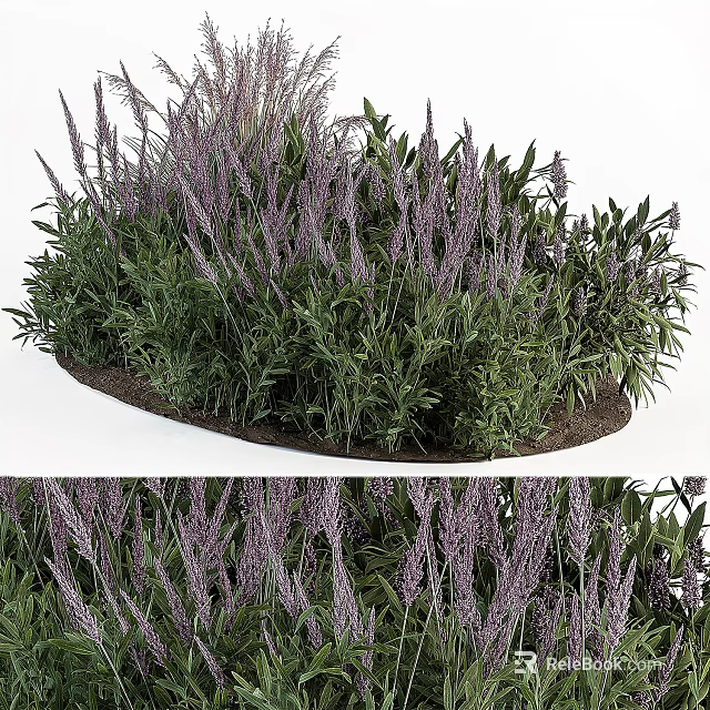 Purple Flower Garden Bed With Vibrant Blooms And Lush Green Foliage 3d model 