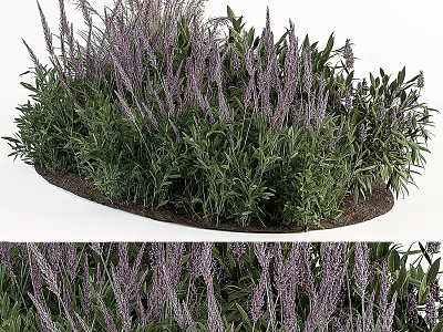 Purple Flower Garden Bed With Vibrant Blooms And Lush Green Foliage 3d model