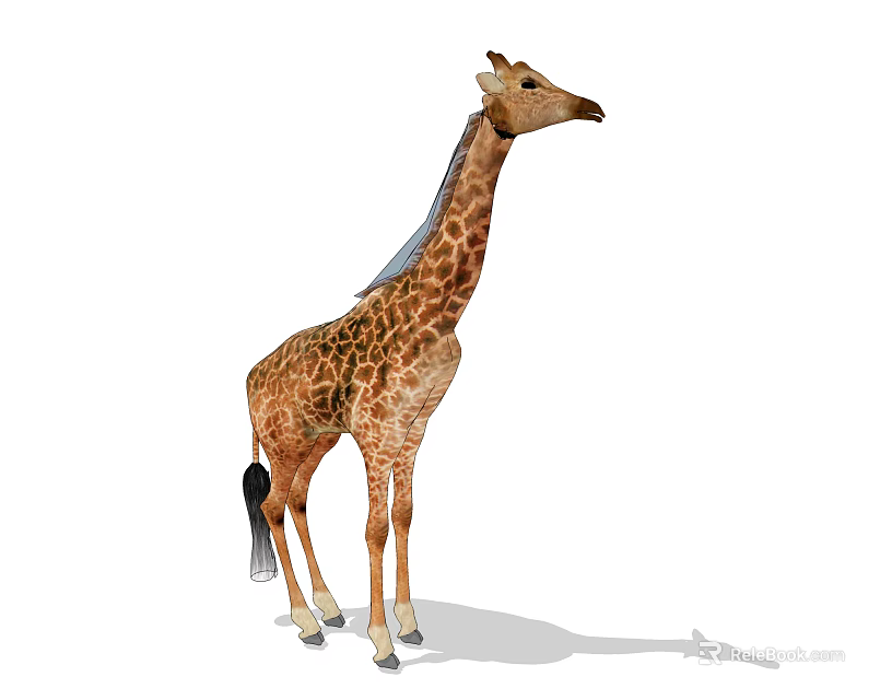 Giraffe With Long Neck And Brown Spotted Pattern Standing On White Background 3d model 