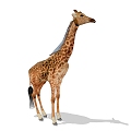 Modern Giraffe 3d model