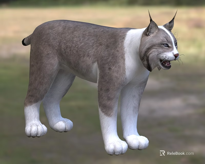 3D Rendered Lynx In Outdoor Natural Environment 3d model 