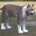 3D Rendered Lynx In Outdoor Natural Environment