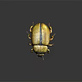 Detailed 3D Rendered Golden Beetle With Shiny Shell And Legs On Dark Background