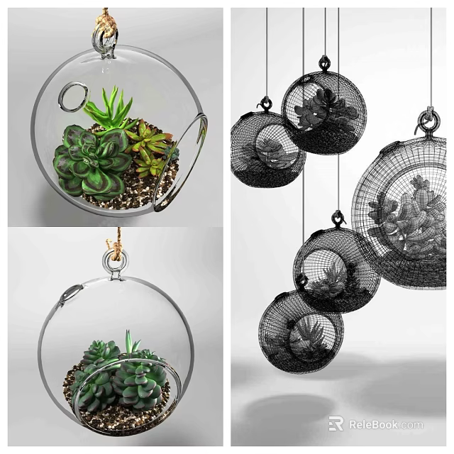 Decorative Hanging Planters with Succulent Plants in Glass and Wire Mesh for Indoor Home Decor 3d model 