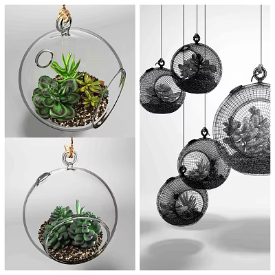 Decorative Hanging Planters with Succulent Plants in Glass and Wire Mesh for Indoor Home Decor 3d model
