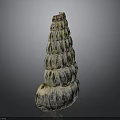 Natural Colorful Spiral Conch Shell With Detailed Textured Patterns On Dark Background