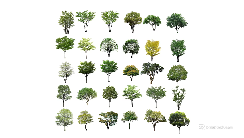 Various Arbor Trees Displaying Diverse Crown Shapes and Leaf Colors 3d model