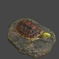 Reptile Turtle With Detailed Shell Resting On Mossy Rock With Small Grass 3d model