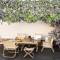 Lush Purple Flower Vines Hanging Outdoor Plant Combination With Wooden Table Chairs And Fruits