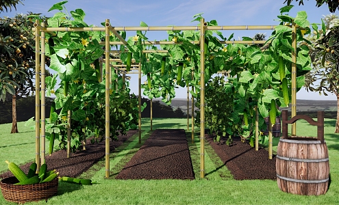 Rural Courtyard Rural Vegetable Garden Vegetable Field Cucumber Vine Climbing Corridor Frame Rural Vegetable Planting Farming Rural Vegetable Field Vegetable Fruit Base 3d model