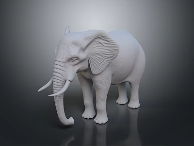 White Elephant Model With Detailed Trunk Long Tusks And Smooth Surface On Dark Background 3d model