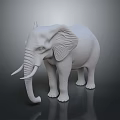 White Elephant Model With Detailed Trunk Long Tusks And Smooth Surface On Dark Background 3d model