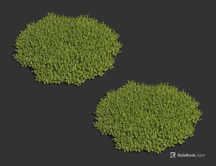 Two Lush Circular Green Grass Clumps On Dark Background For Landscaping 3d model 