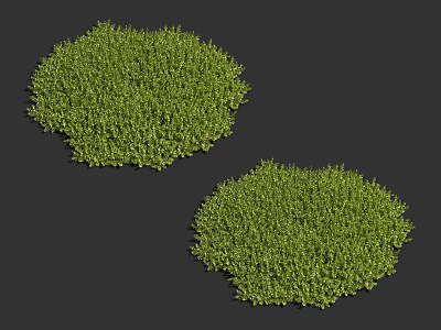Two Lush Circular Green Grass Clumps On Dark Background For Landscaping 3d model