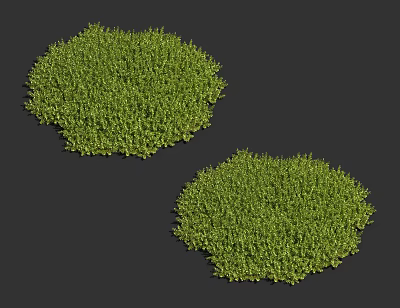 Two Lush Circular Green Grass Clumps On Dark Background For Landscaping 3d model