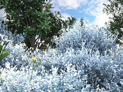 Silver Gray Shrubs Growing With Green Trees Blue Sky White Clouds And Yellow Flowers 3d model