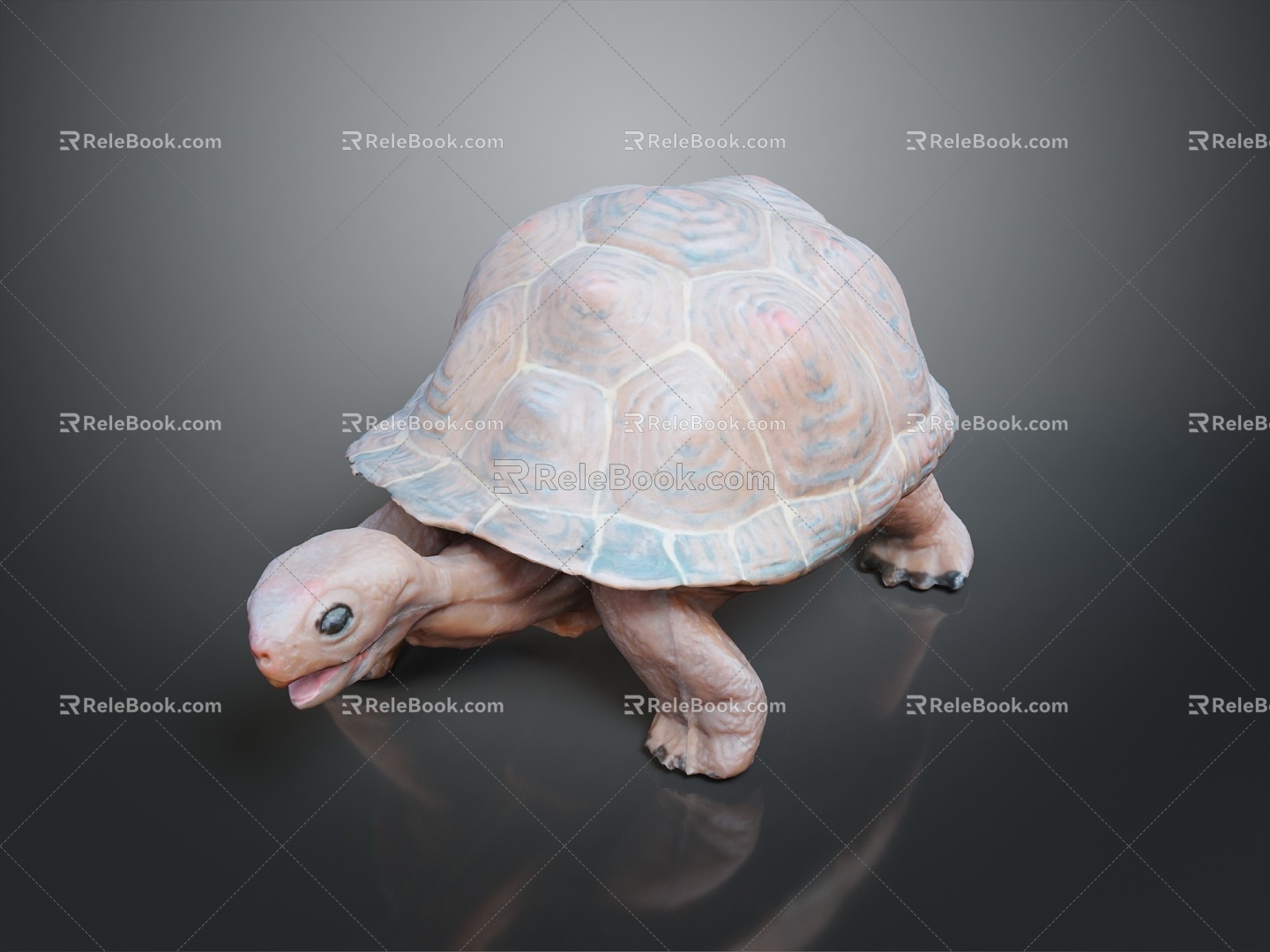 Turtle Turtle Cartoon Turtle Snapping Turtle Chickbill Turtle Reptile Cold Blooded Animal Reptile Reptile Class 3d model