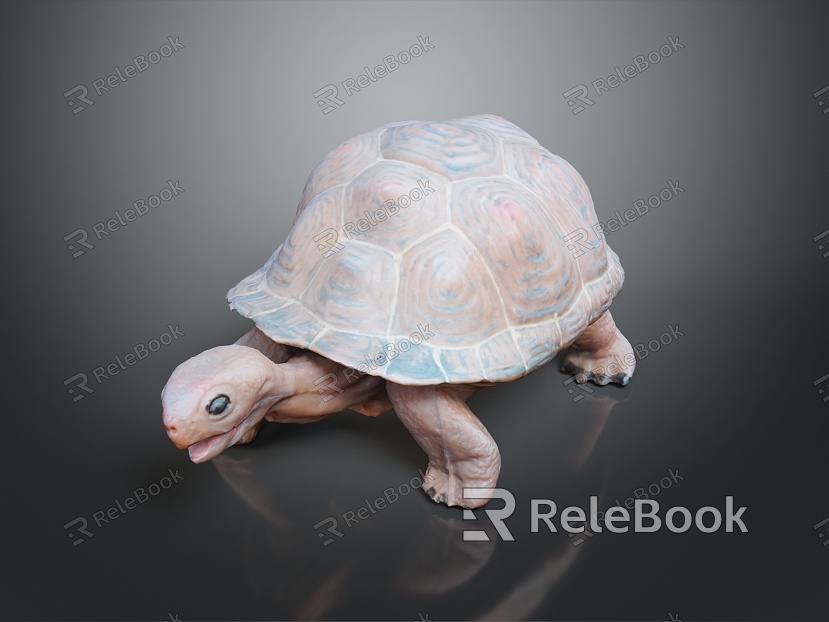 Turtle Turtle Cartoon Turtle Snapping Turtle Chickbill Turtle Reptile Cold Blooded Animal Reptile Reptile Class model