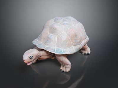 Resting Reptile Turtle With Light Colored Patterned Shell On Smooth Dark Surface 3d model