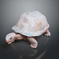 Turtle Cartoon Turtle Snapping Turtle Chickbill Turtle Reptile Cold Blooded Animal Reptile Class 3d model