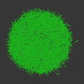 Lush Green Grass with Fresh Blades on Dark Background Natural Scene