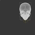Detailed 3D Rendered White Human Skull Model Side View Against Black Background
