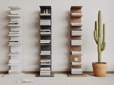 White Black and Wooden Shelving Units Displaying Books and Cactus Plant 3d model